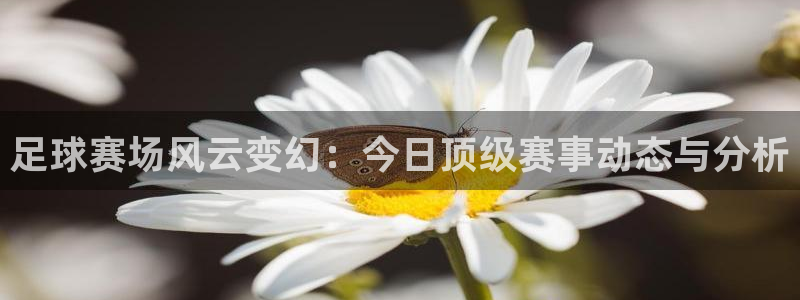 上海电视五星体育直播：足球赛场风云变幻：今日顶级赛事动态与分析
